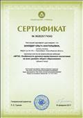 Сертификат участника всероссийского вебинара "ФГОС. Особенности духовно-нравственного воспитания на всех уровнях общего образования" (2 часа)
 Февраль 2017 г.
